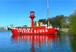 SvenskaBjörn1.jpg
