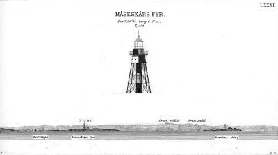 1872-Pl-LXXXIIMåsesk.jpg
